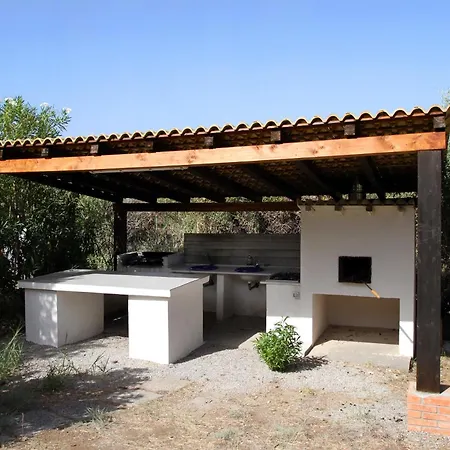 La Gabbianella E Il Gatto *